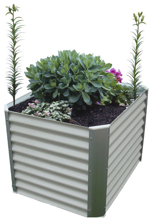 vegetable garden