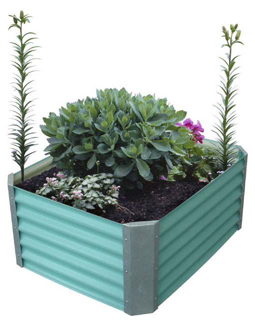 raised garden bed